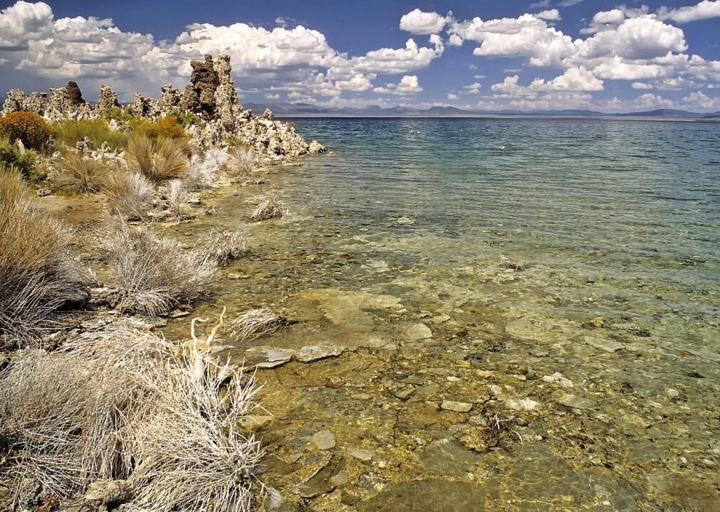 #30. Mono County